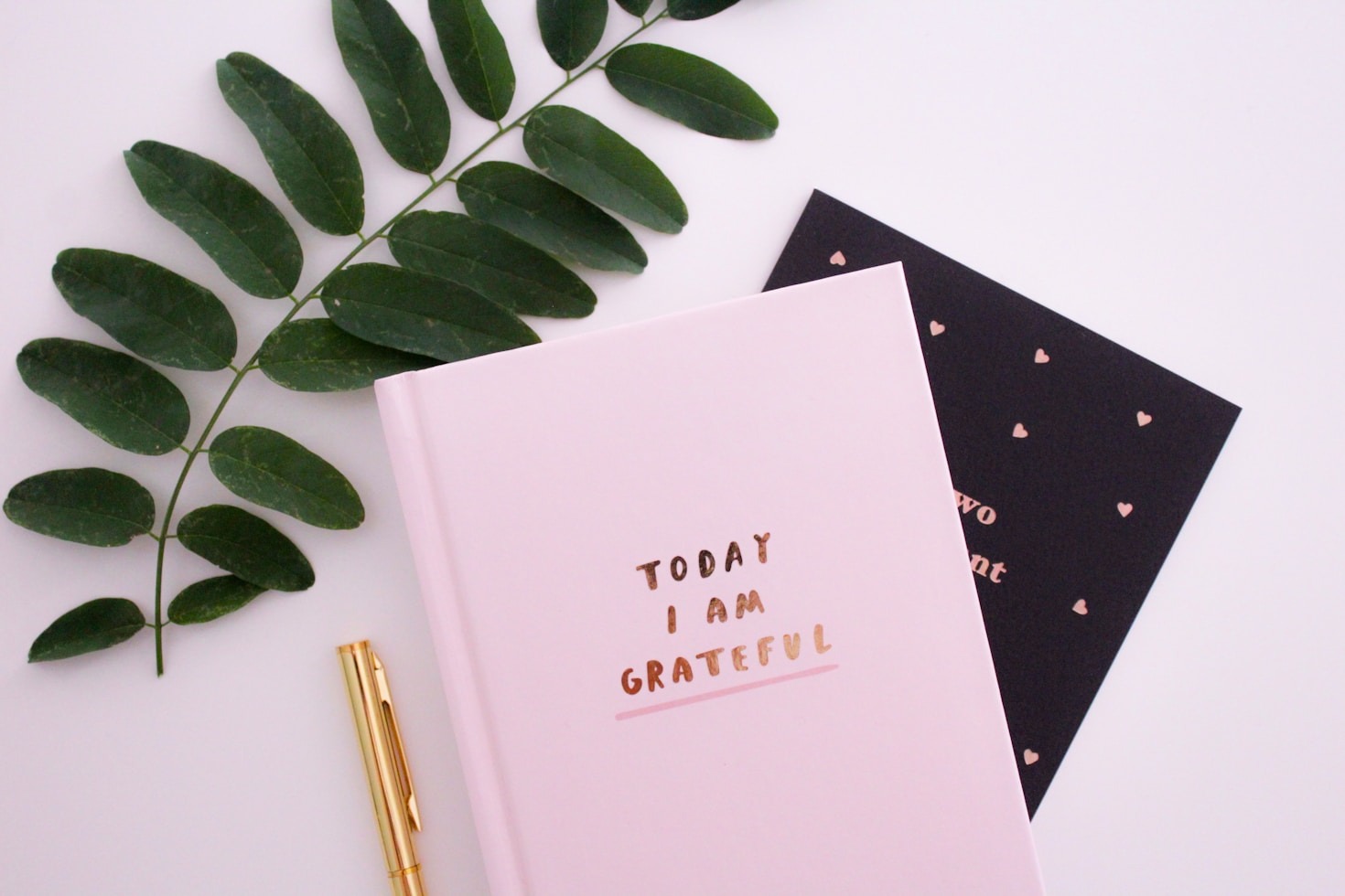 Embracing Life’s Unexpected Turns and Twists